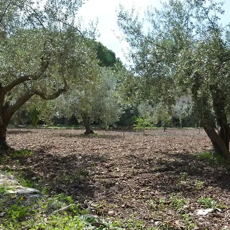 Alchea Locazione Turistica Villa *